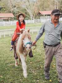 花蓮鳳林｜墾夢莊園兆豐農場 超大農場玩不完！