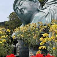 วัดนันโซอิน (Nanzoin Temple, 南蔵院)