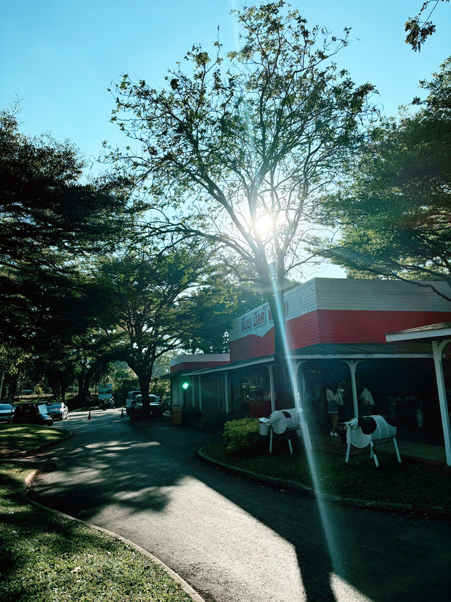 Chokchai Farm