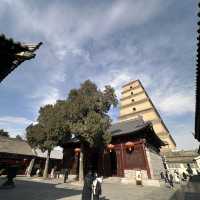 Go to the temple on your birthday, why not?