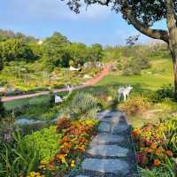 彩虹公園：色彩樂園 🌈🌼