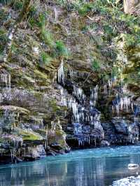 【秩父の冬の風物詩】三大氷柱   「三十槌の氷柱」天然はこちらだけ！