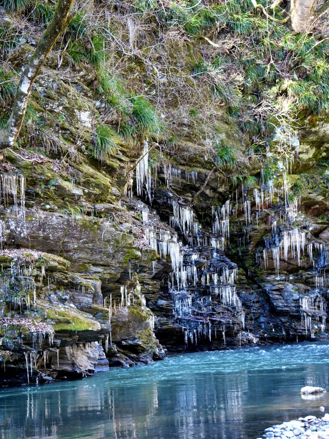 【秩父の冬の風物詩】三大氷柱   「三十槌の氷柱」天然はこちらだけ！