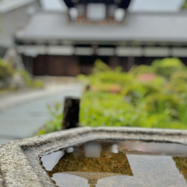在東福寺尋找心靈的寧靜🌳