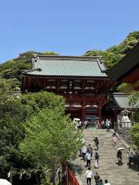 Step into History at Tsurugaoka Hachimangu, Kamakura