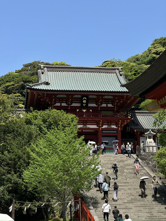 Step into History at Tsurugaoka Hachimangu, Kamakura