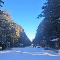 北海道旅遊😍北海道神宮🥳品嚐神宮茶屋馳名牛乳雪糕和福餅😋