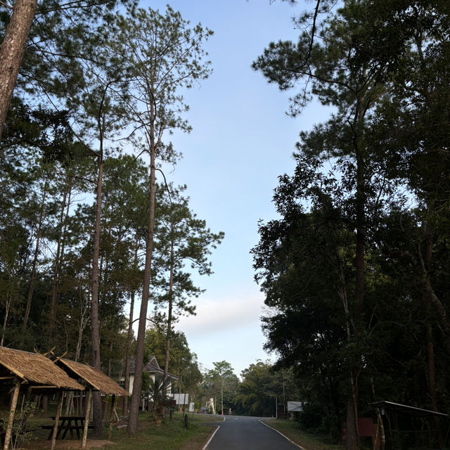 ไป camping ที่อุทยานแห่งชาติน้ำหนาวกัน