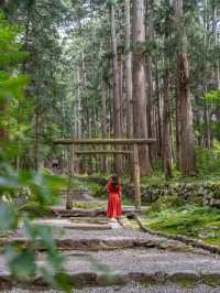 【福井県/勝山市】苔寺と呼ばれ、1300年以上歴史あるテラス