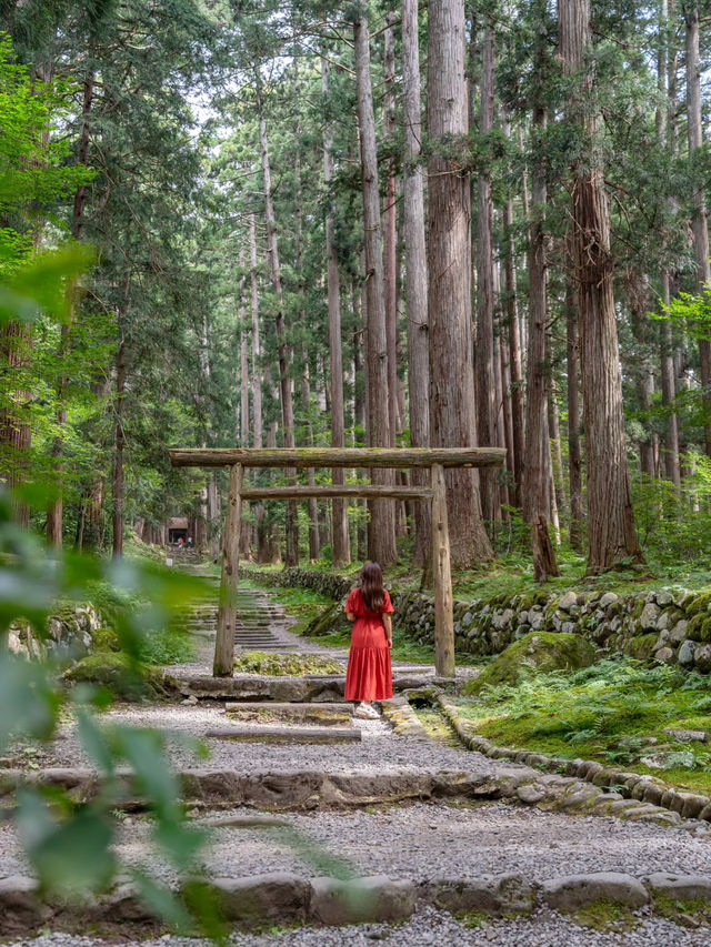 【福井県/勝山市】苔寺と呼ばれ、1300年以上歴史あるテラス