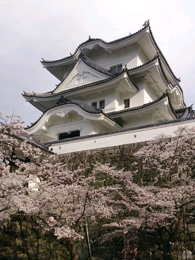 Ueno Park: Tokyo’s Cultural Oasis