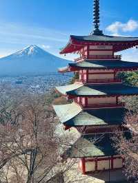 【山梨県】世界的に有名な富士山絶景スポット‼️
