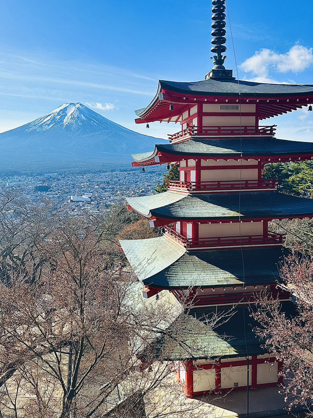 【山梨県】世界的に有名な富士山絶景スポット‼️