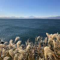 Picturesque views in Enoshima