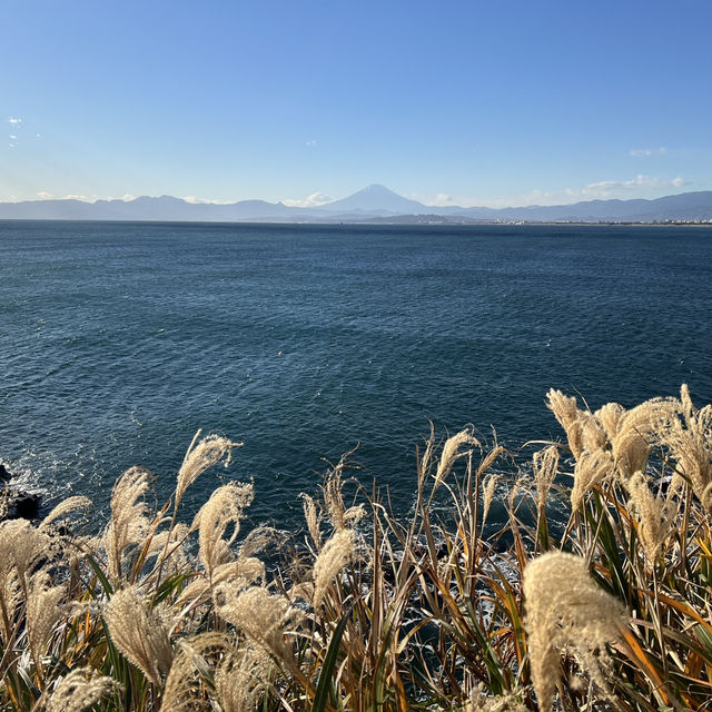 Picturesque views in Enoshima