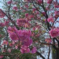 【屏東】勝利星村創意生活園区