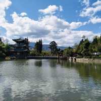 Tranquility Among the Willows: A Day at Black Dragon Lake