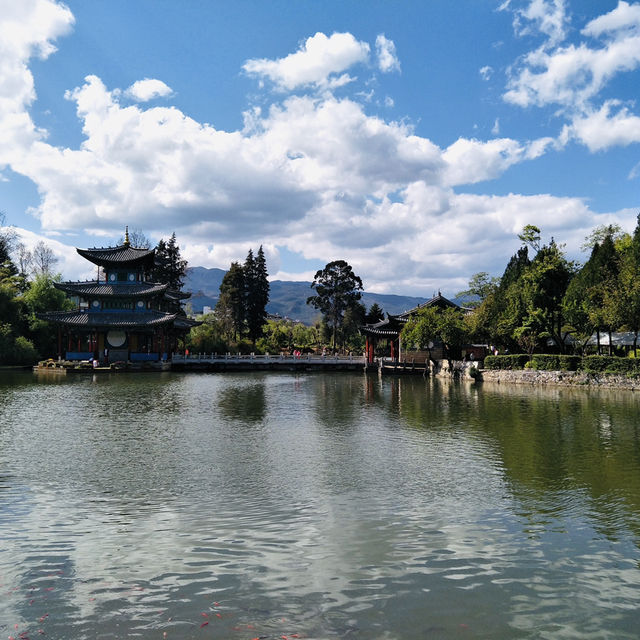 Tranquility Among the Willows: A Day at Black Dragon Lake