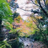 いつでも、何度でも訪れたい観光地 『箱根』🚇