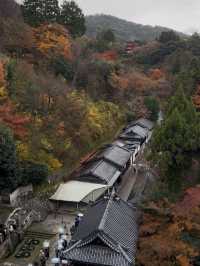 First Snowfall at Kiyomizudera: A Magical Winter Scene with Rainbow and Sunset