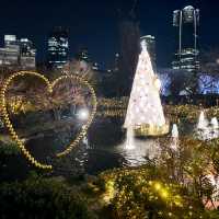 A Magical Holiday Experience: Christmas Illuminations in Tokyo