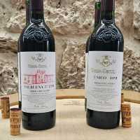 西班牙酒王 Vega Sicilia 酒莊遊