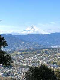 【伊豆×初春の旅】海、空を360°楽しめるビュースポット！富士山も見えます！
