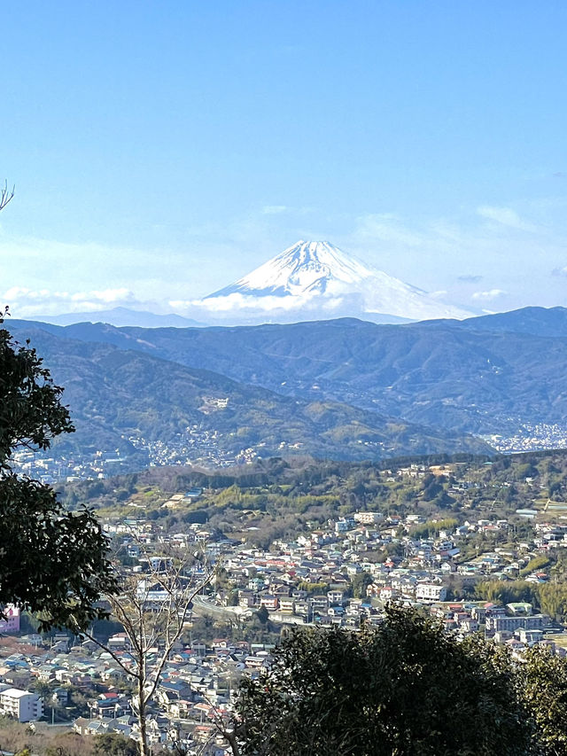 【伊豆×初春の旅】海、空を360°楽しめるビュースポット！富士山も見えます！