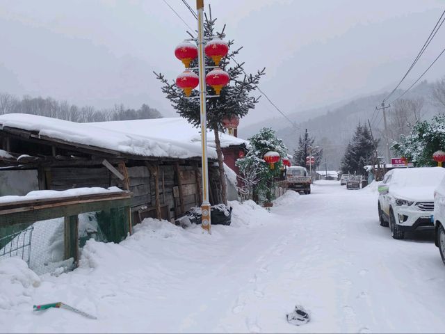 รีวิว Xuegu Lijie donkey Youyi Station