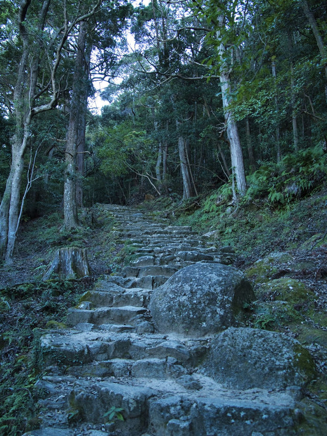 【和歌山】急勾配な石段を登った先にあるパワースポット✨足腰悪い人は諦めて🙅