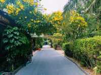 麗貝島上性價比最高的度假村酒店:科里朴NT房屋度假酒店KK Lipe Resort，用trip.com預定可以享受最大優惠