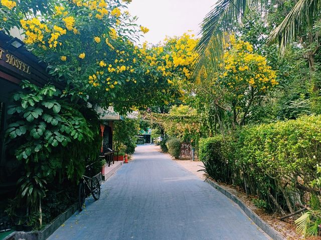 麗貝島上性價比最高的度假村酒店:科里朴NT房屋度假酒店KK Lipe Resort，用trip.com預定可以享受最大優惠