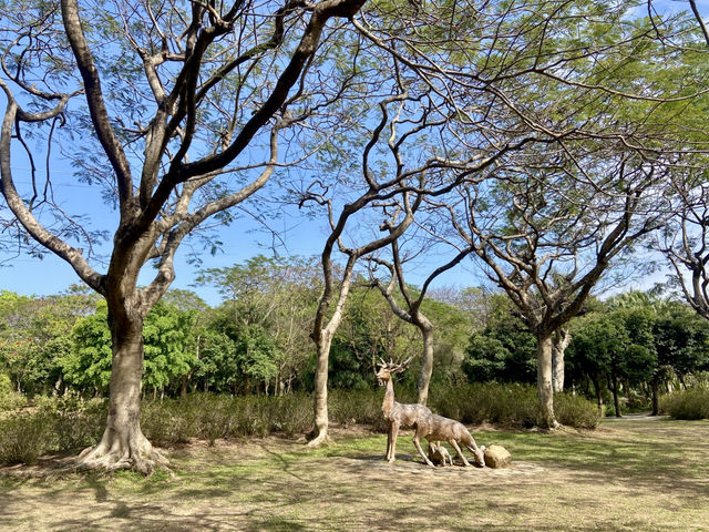 週末好去處🔥如非洲草原般的深圳「東湖公園」🌴🏞️