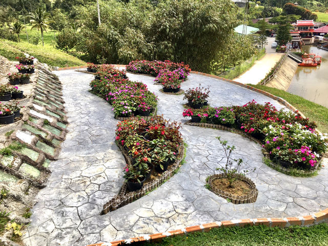 Betong Winter Flowers Garben