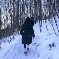 현지인들과 함께하는게 즐거웠던 퓌센 등산
