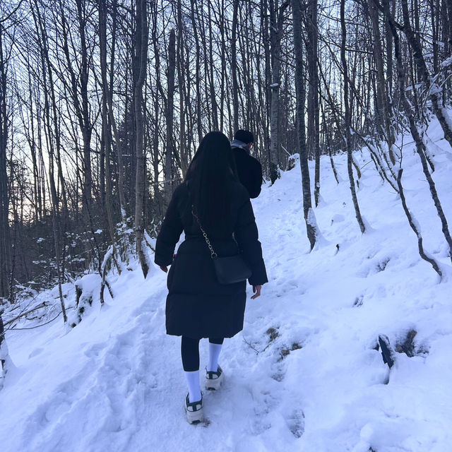 현지인들과 함께하는게 즐거웠던 퓌센 등산