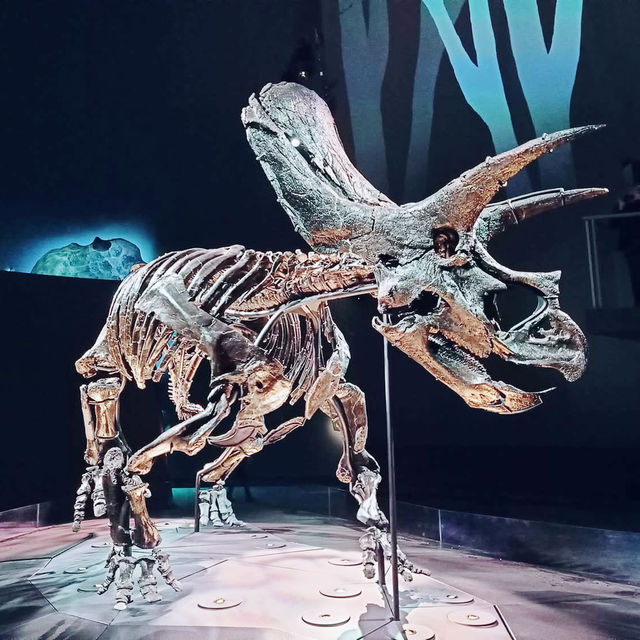 A Fascinating Journey Through Time at Melbourne Museum 🇦🇺