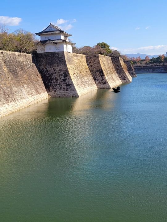 🏯⚔️ ✅大阪城 攻略ガイド – 歴史と絶景を楽しむ完全プラン！