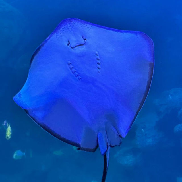 【中国/福州/左海海洋ワールド】