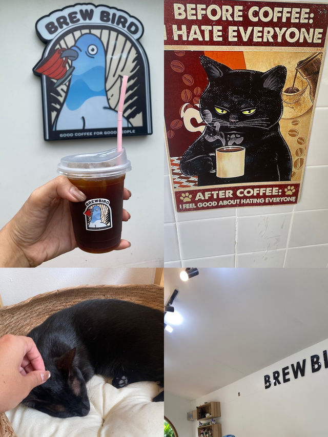 อัปเดตร้านกาแฟสุดชิคในกรุงเทพฯ ฉบับ 2025🥤✨