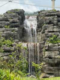 Bird Paradise Singapore: A Must-Visit for Nature & Wildlife Lovers