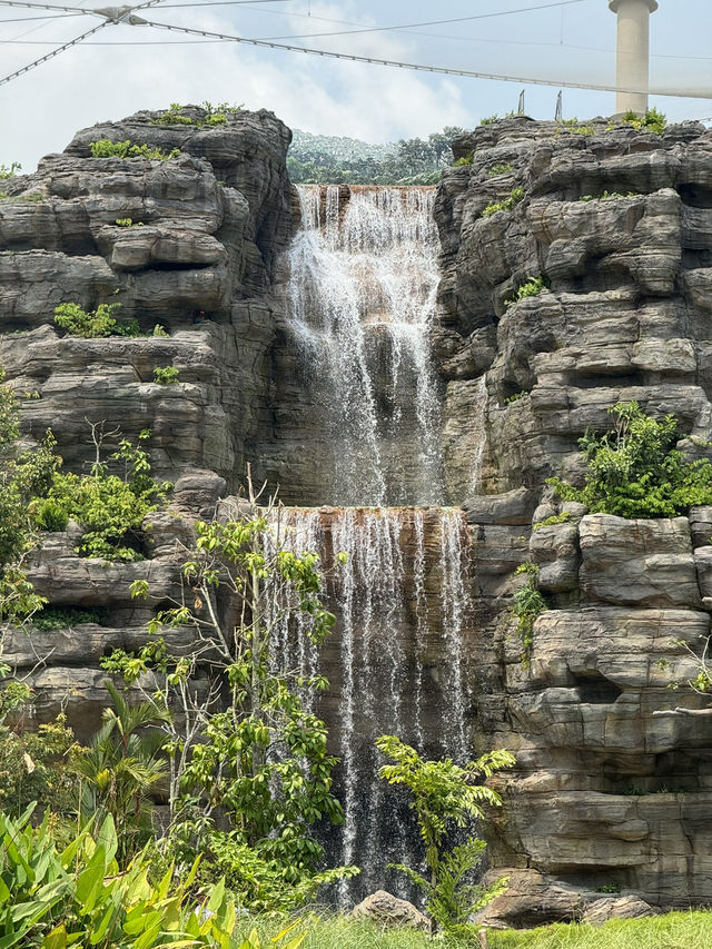 Bird Paradise Singapore: A Must-Visit for Nature & Wildlife Lovers