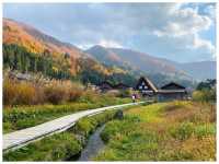 【岐阜/白川村】合掌造りで有名！世界遺産スポット＊白川郷＊