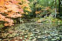 Much More Than A Temple — The Nanzenji-Temple of Kyoto