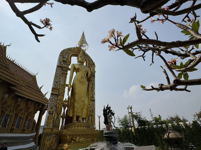 Bạn có thể dành cả ngày ở đây
