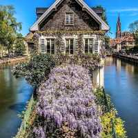 Strasbourg 