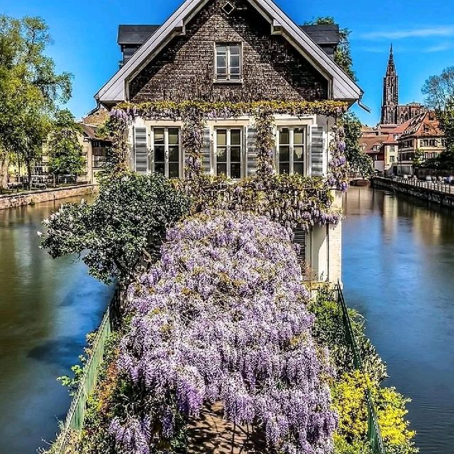 Strasbourg 