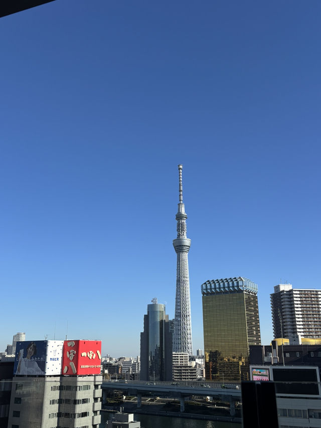 東京3日間|初めて行く東京の初心者攻略