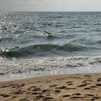 เที่ยวพัทยาต้องแวะร้านนั่งชิวริมหาด 