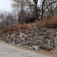 Ewha Womans University & Shopping Street (梨花女子大學與購物街)